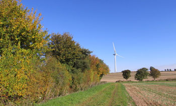 Bilsthorpe Wind Farm Project