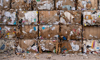 Derby-Recycling
